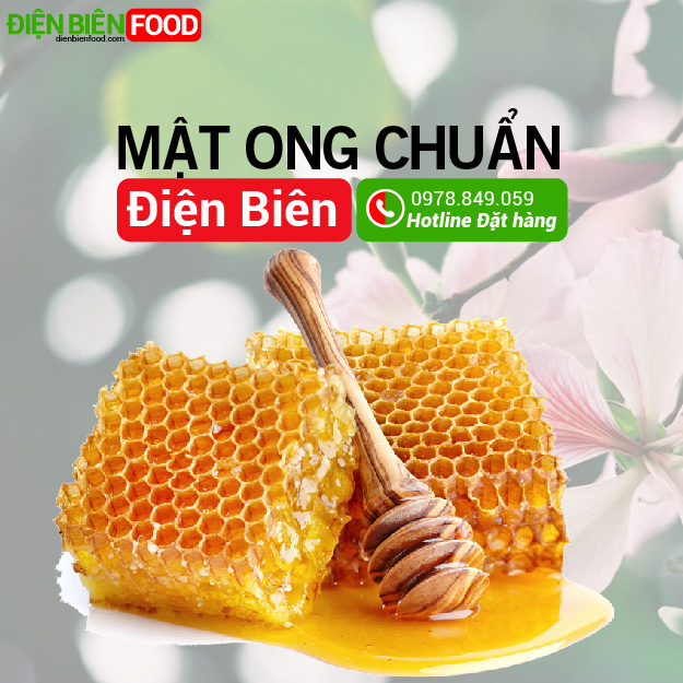 Mật ong rừng chuẩn thơm ngon sạch của Điện Biên